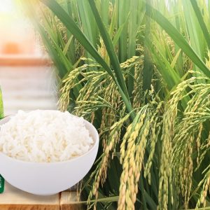 gạo tẻ râu sơn la