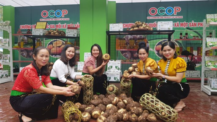 khoai sọ thuận châu